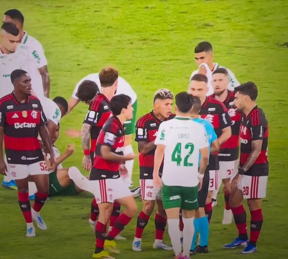 Palmeiras vence Flamengo por 3 a 0 no Maracanã e abre 7 pontos no Brasileirão