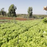 IPP sobe 2,37% em março, diz IBGE