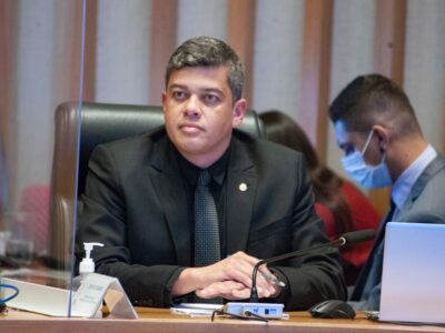 Protetores Mirins: crianças contra maus-tratos a animais