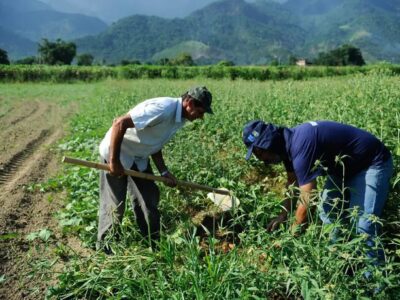CAE aprova renegociação de dívidas rurais com verba do pré-sal